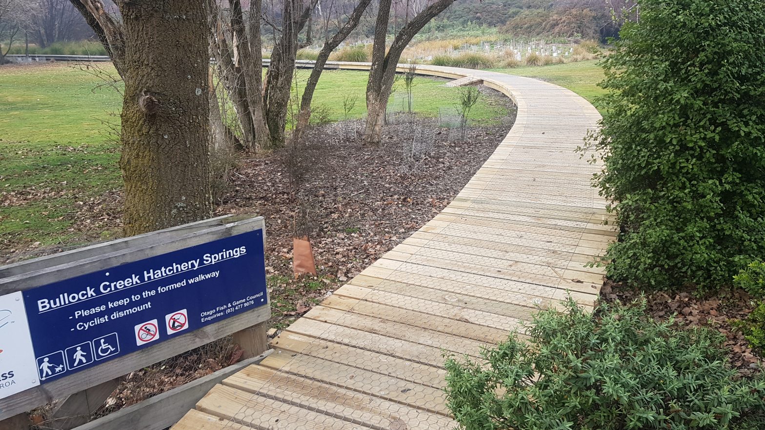 Easy walking at Bullock Creek