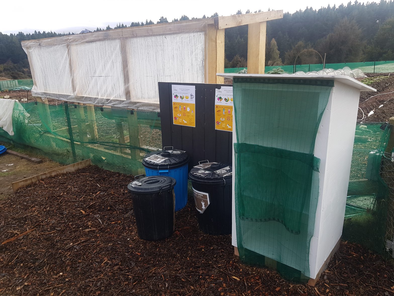 Grow Wanaka collaboration