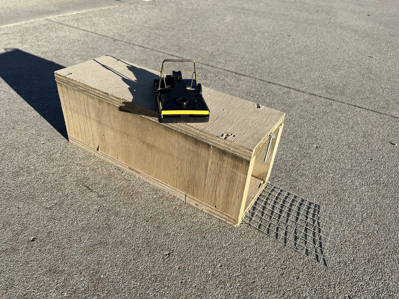 rat trap with safety mechanism