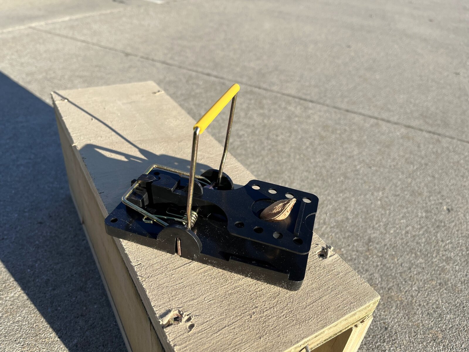 Rat Trap Complete With Tunnel - Image 4