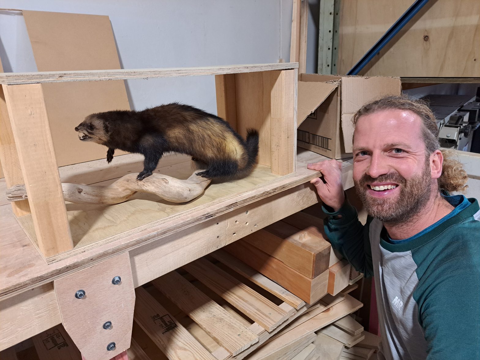 Stuffed Stoat
