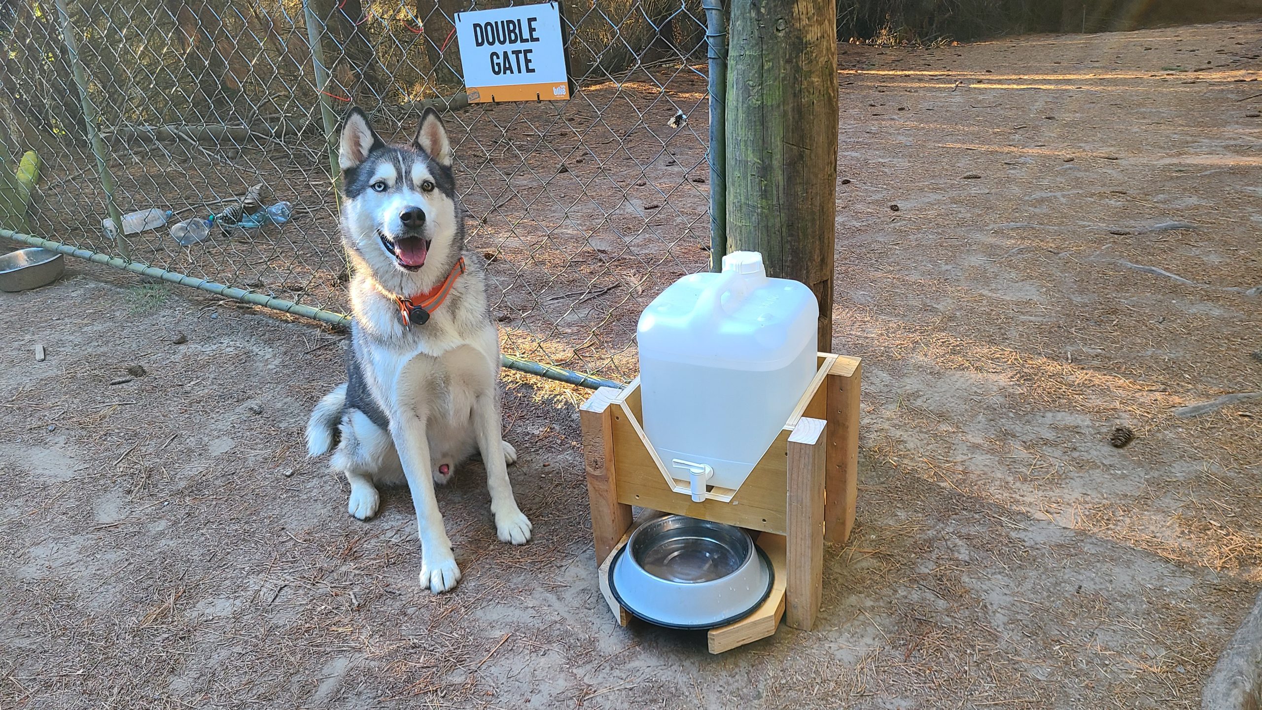 Doggie refreshment station