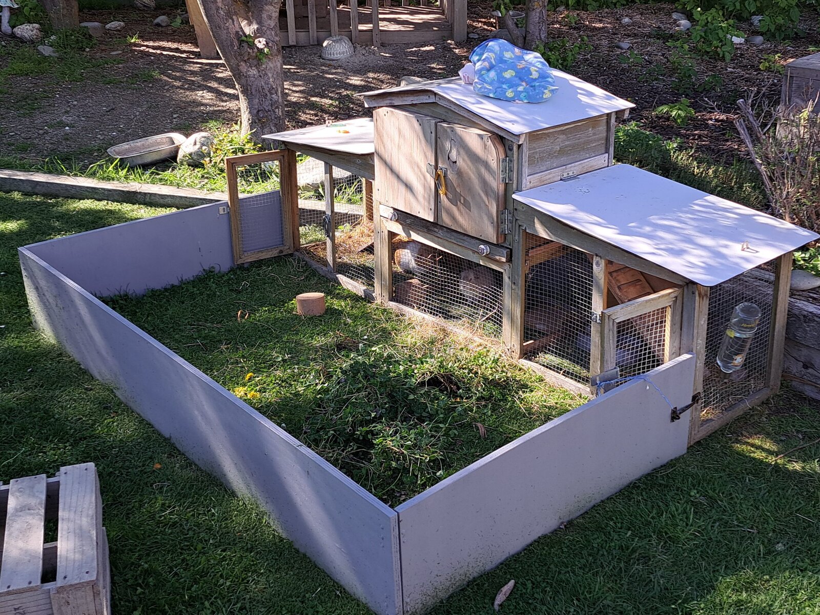 Guinea pig palace